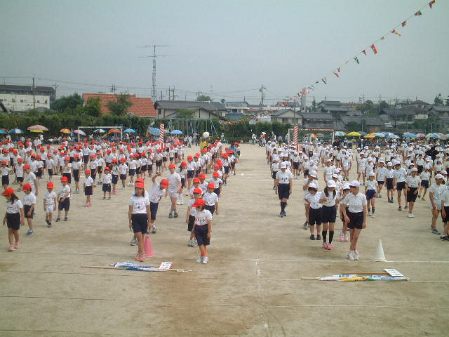 Sport Festival 
