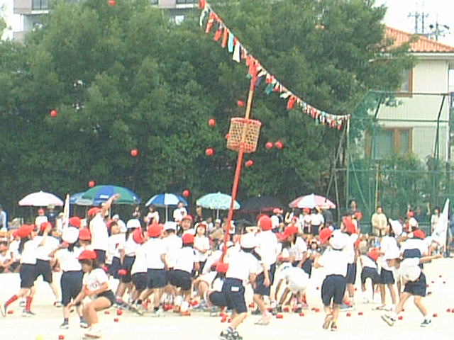 DSCF0043.JPG