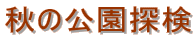 ȞT