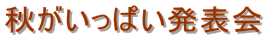Hς\