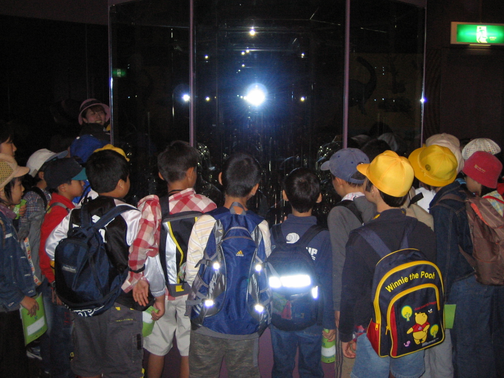 img_1263.jpg