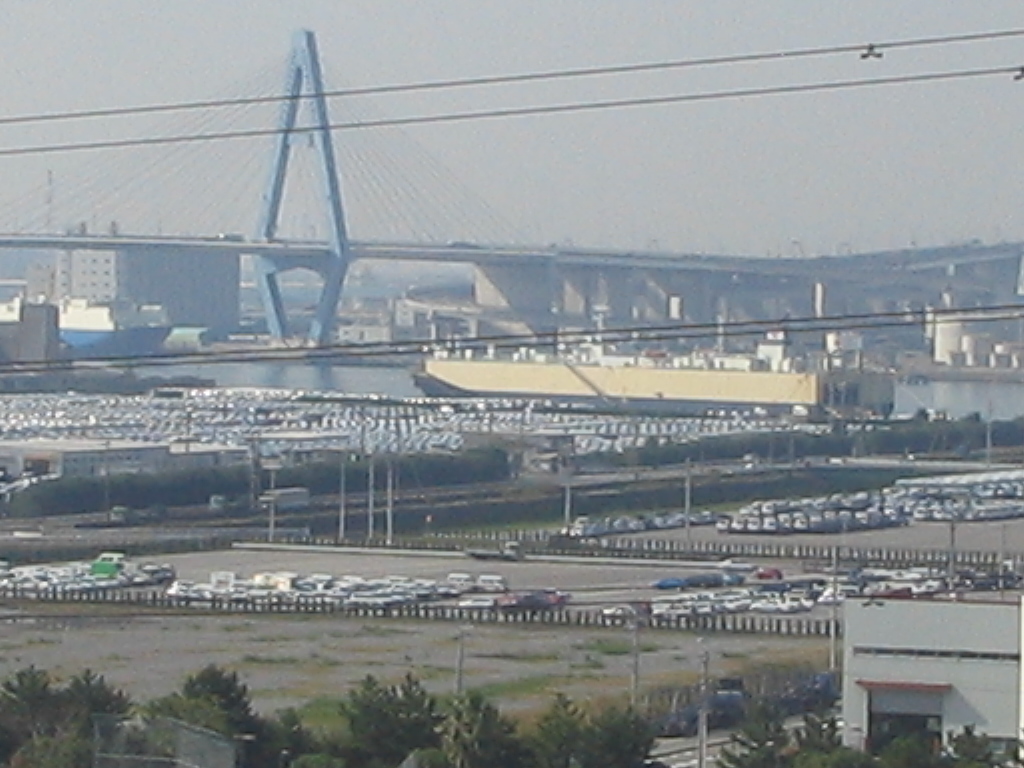 img_1271.jpg