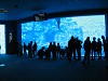 img_1279_thumb.jpg
