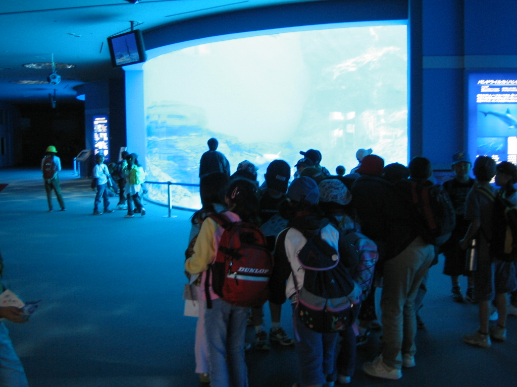 img_1280.jpg