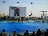 img_1287_thumb.jpg