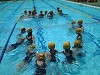 dscf0019_thumb.jpg