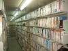 0345_thumb.jpg