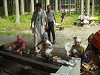 p1010012_thumb.jpg