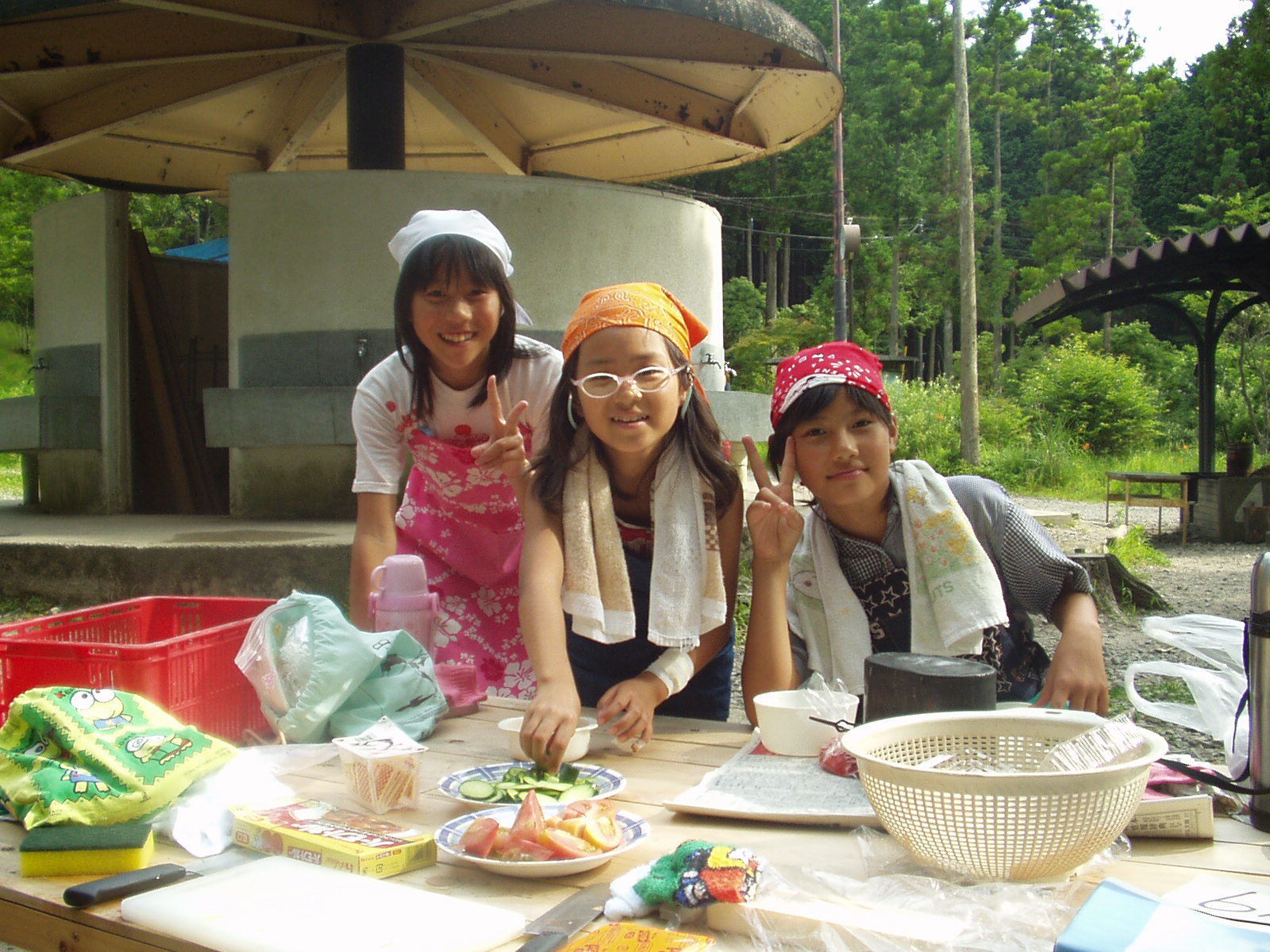 p1010018.jpg