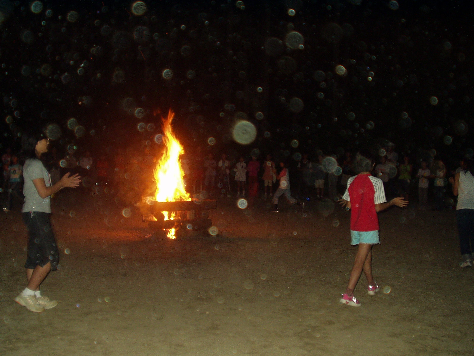 p1010028.jpg