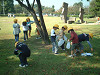dscf0003_thumb.jpg