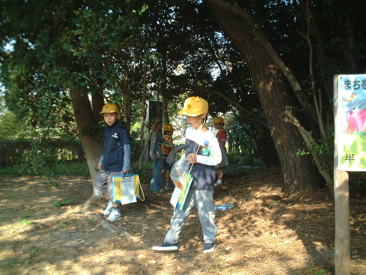 dscf0009.jpg