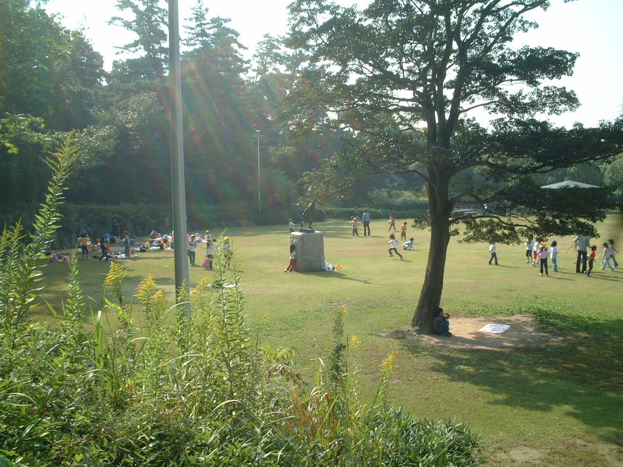 dscf0041.jpg