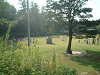 dscf0041_thumb.jpg