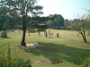dscf0042_thumb.jpg