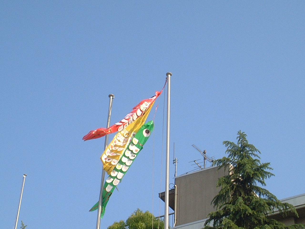 dscf0041.jpg