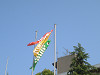 dscf0041_thumb.jpg