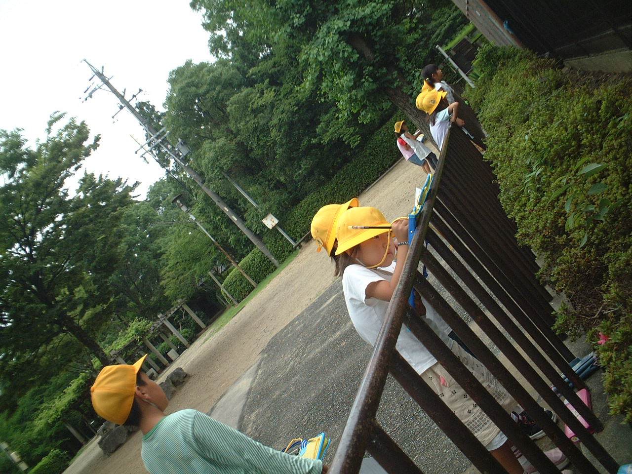 dscf0035.jpg