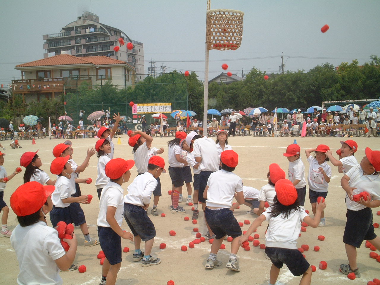 dscf0007.jpg