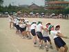 dscf0012_thumb.jpg