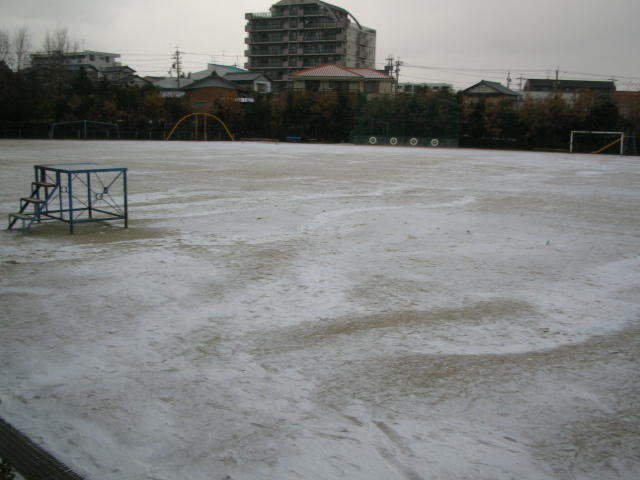 img_1175.jpg