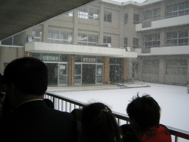 img_1195.jpg