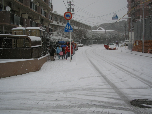 img_1199.jpg