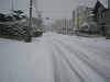 img_1200_thumb.jpg