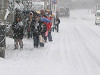 img_1201_thumb.jpg