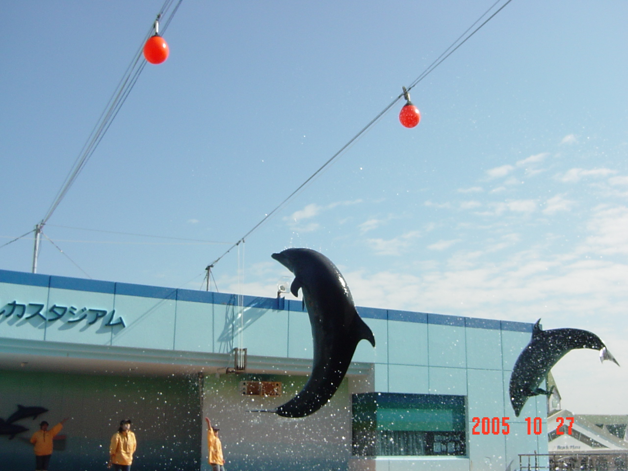 dsc05420.jpg