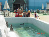dsc05489_thumb.jpg