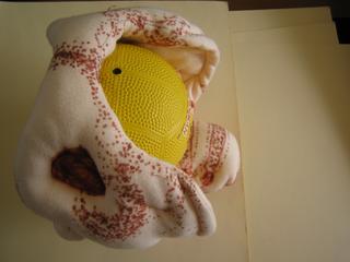 2006-01-26 12:09:21