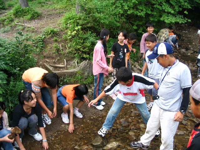 img_1153.jpg