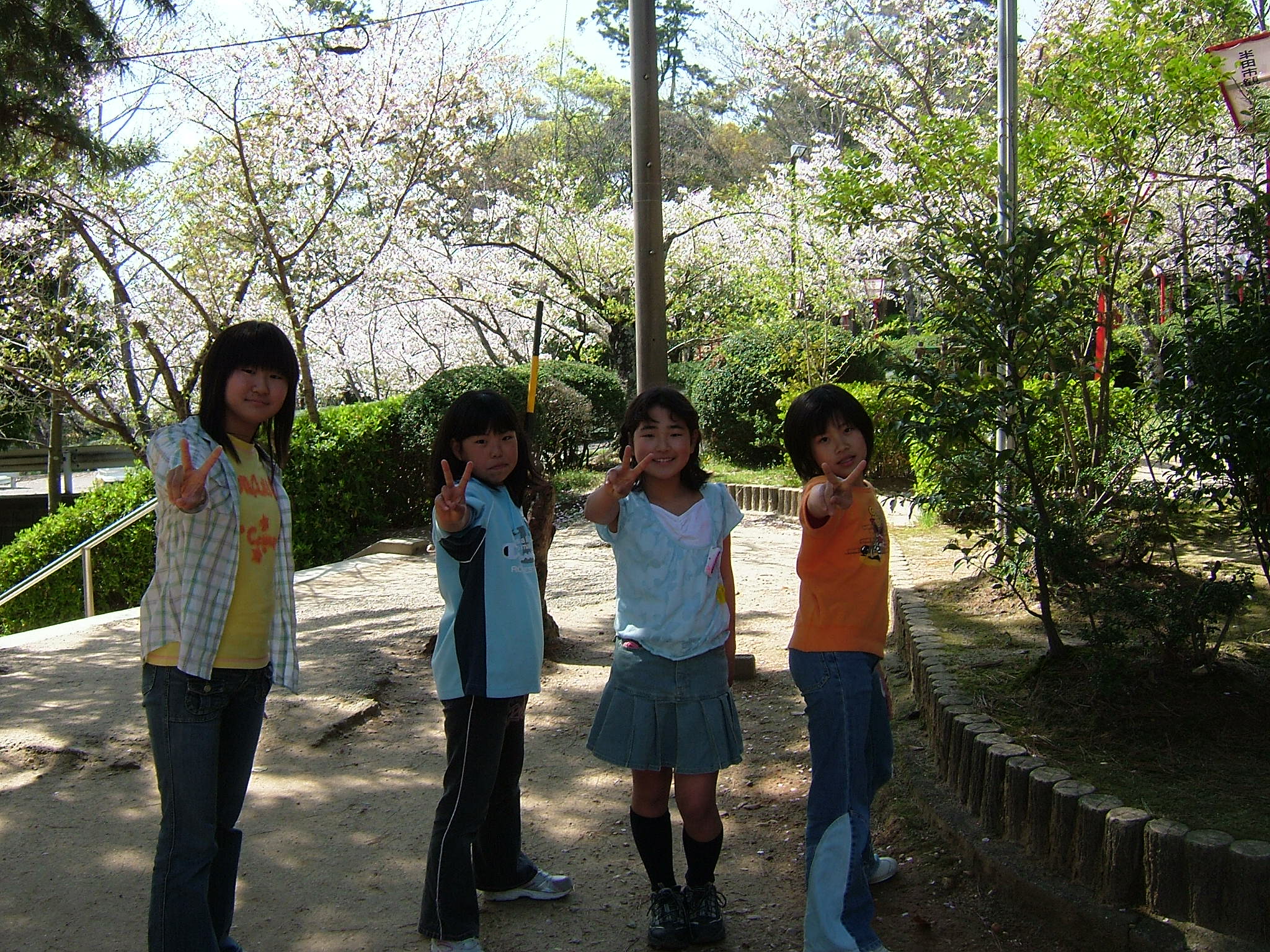 hanami2.jpg