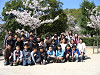 hanami61_thumb.jpg