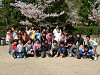 hanami62_thumb.jpg