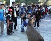 200511011524000_thumb.jpg