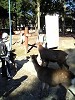 05-11-02_09-18_thumb.jpg