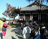 200511020856000_thumb.jpg