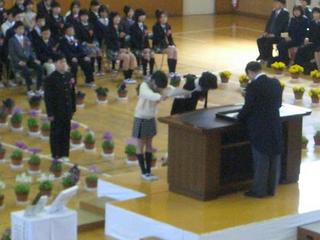 2006-03-20 10:10:40