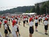 img_3249_thumb.jpg