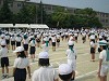 img_3250_thumb.jpg