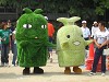 img_3256_thumb.jpg
