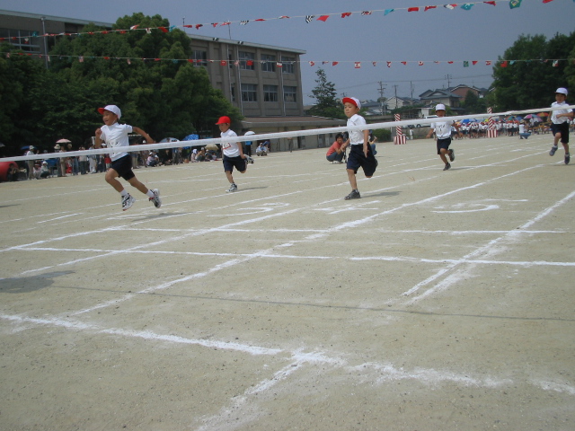 img_3264.jpg