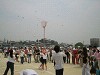 img_3286_thumb.jpg