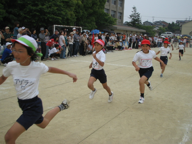 img_3291.jpg