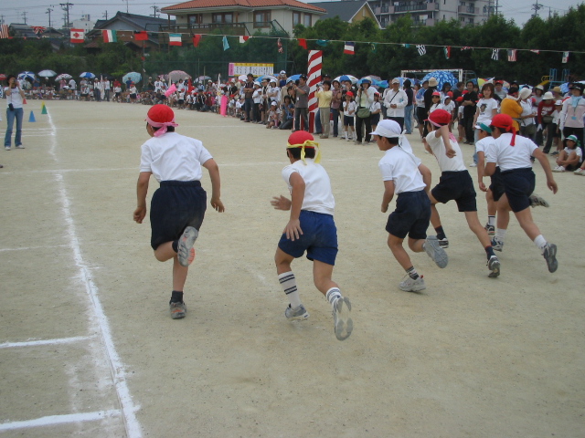 img_3295.jpg