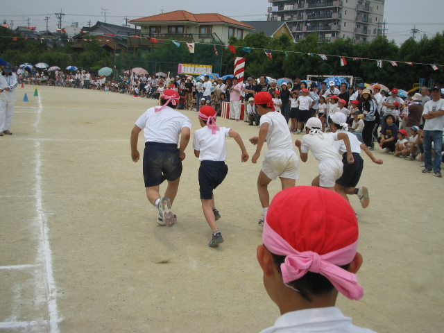 img_3300.jpg