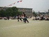 img_3306_thumb.jpg