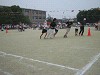 img_3311_thumb.jpg